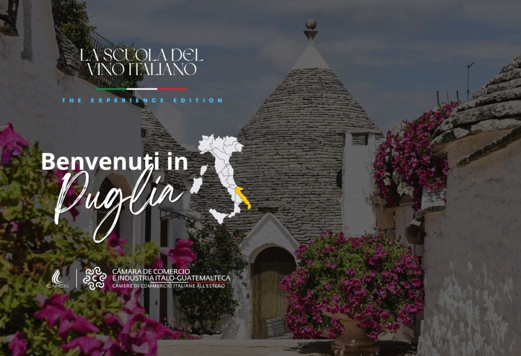 Benvenuti in Puglia — La Scuola del Vino Italiano, The Experience Edition